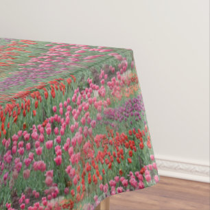 Tulpenfeld Tischdecke