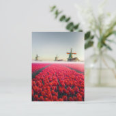 Tulpenfeld und Mühlen Postkarte (Stehend Vorderseite)