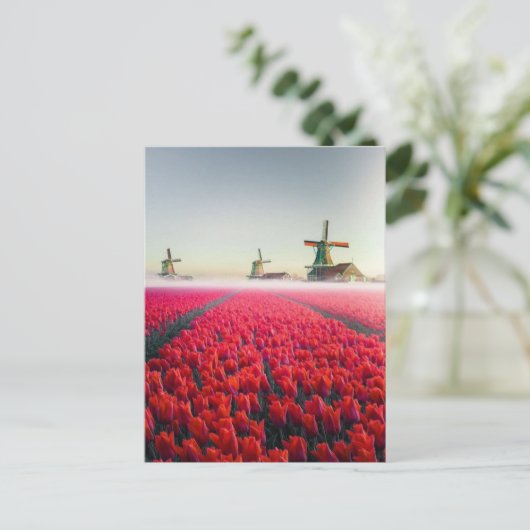 Tulpenfeld und Mühlen Postkarte (Stehend Vorderseite)