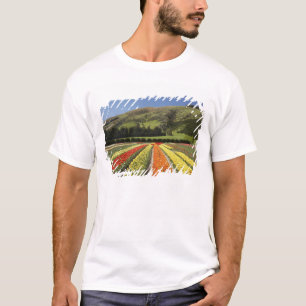 Tulpenfelder, nahe Tapanui, West Otago, South 2 T-Shirt