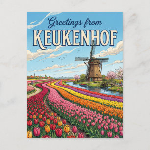 Tulpenfelder und Windmühlen, Lisse Niederlande Postkarte