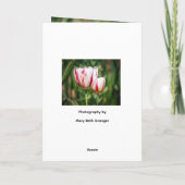 Tulpenfreude Karte (Rückseite)