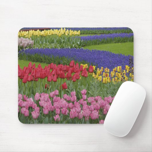 Tulpengarten, Hyazinthen und Mousepad (Mit Mouse)