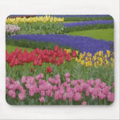 Tulpengarten, Hyazinthen und Mousepad (Vorne)