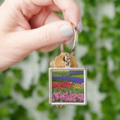Tulpengarten, Hyazinthen und Schlüsselanhänger (Hand)