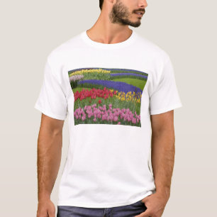 Tulpengarten, Hyazinthen und T-Shirt