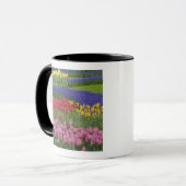 Tulpengarten, Hyazinthen und Tasse (Vorderseite Links)