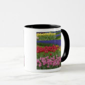 Tulpengarten, Hyazinthen und Tasse (VorderseiteRechts)