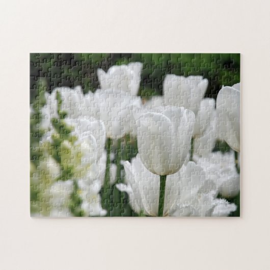 Tulpengarten Puzzle (Horizontal)