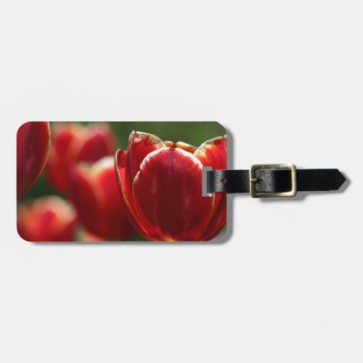 Tulpengepäck Gepäckanhänger (Vorderseite horizontal)