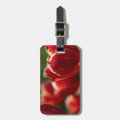 Tulpengepäck Gepäckanhänger (Vorderseite vertikal)
