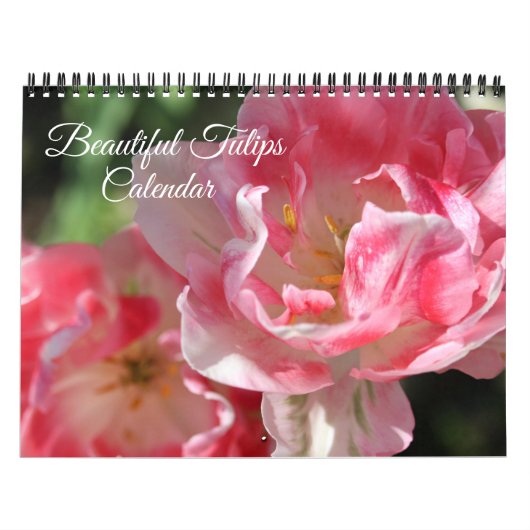 Tulpenkalender in mittlerer Größe Kalender (Titelbild)