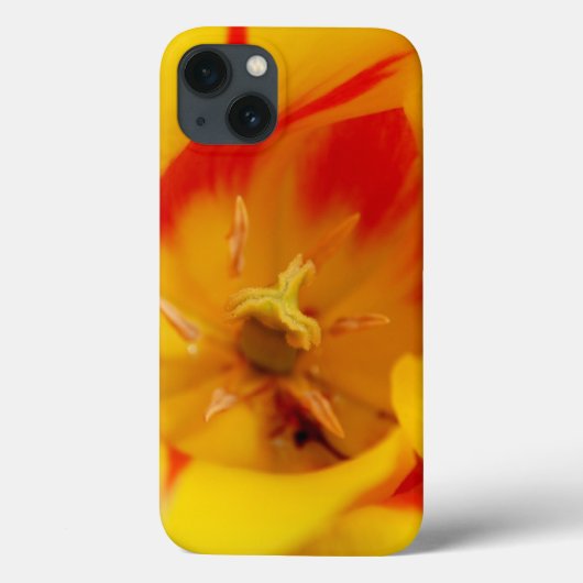 Tulpenmakro Case-Mate iPhone Hülle (Rückseite)