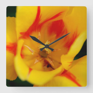 Tulpenmakro Quadratische Wanduhr