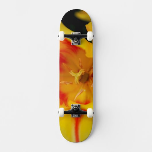 Tulpenmakro Skateboard (Vorderseite)