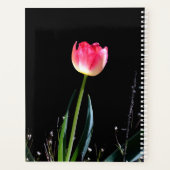 Tulpenplaner Planer (Rückseite)