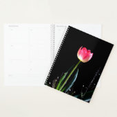 Tulpenplaner Planer (Anzeige)