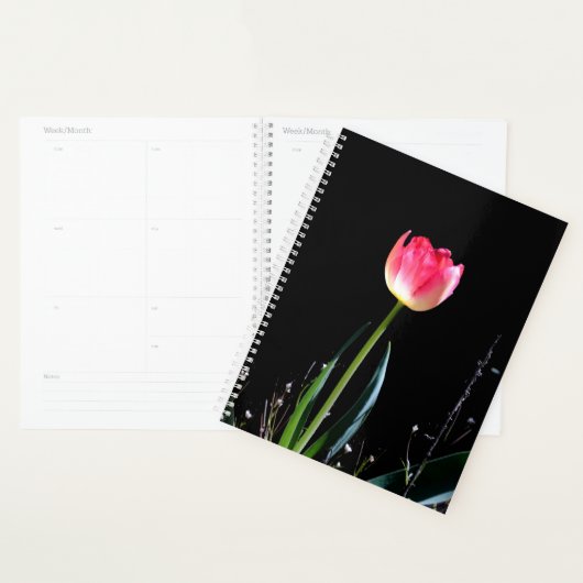 Tulpenplaner Planer (Anzeige)