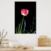 Tulpenposter Poster (Küche)