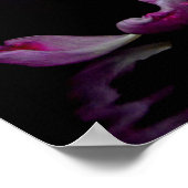 Tulpenzauber in Rosa Poster (Ecke)