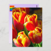 Tulpepostkarte Postkarte (Vorne/Hinten)