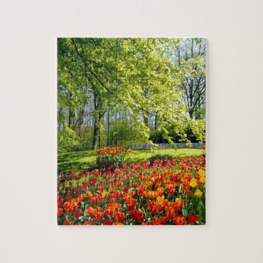 Tulpezeit, Gärten bei Keukenhof Puzzle (Vertikal)