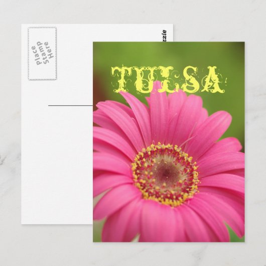 "Tulsa" Pink Gerbera Daisy Postcard Postkarte (Vorne/Hinten)