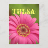 "Tulsa" Pink Gerbera Daisy Postcard Postkarte (Vorderseite)