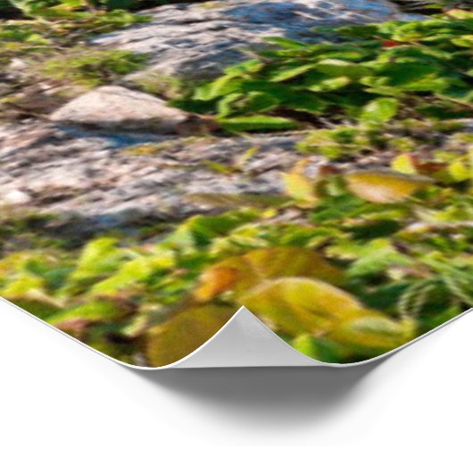 Tulum Beach Poster (Ecke)