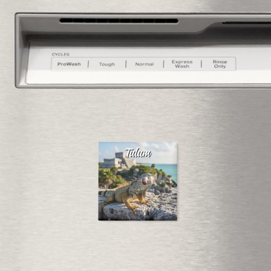 Tulum Mexico Reise Iguana Magnet (In Situ (Geschirrspüler))