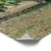 Tulumruine Poster (Ecke)