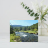 Tumalo Creek Postkarte (Stehend Vorderseite)