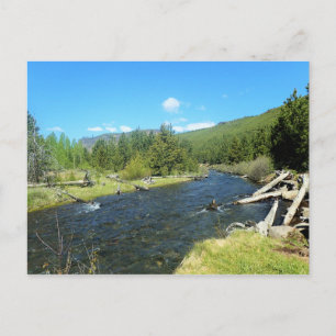 Tumalo Creek Postkarte