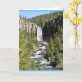 Tumalo Falls, Bend, Oregon Karte (Gelbe Blume)