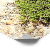 Tumalo Falls, OR Poster (Ecke)