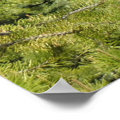 Tumalo Falls, OR Poster (Ecke)