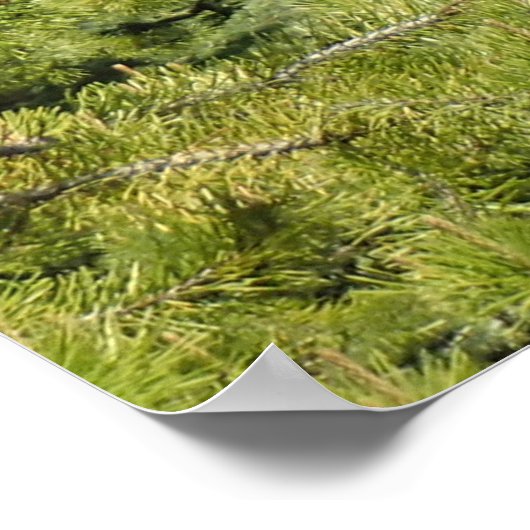 Tumalo Falls, OR Poster (Ecke)