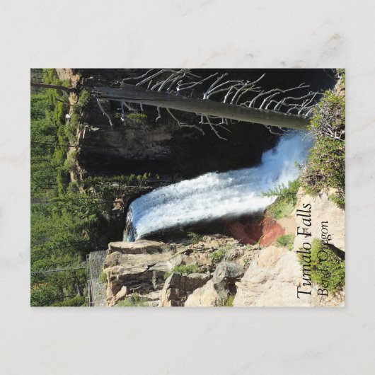 Tumalo Falls, OR Postkarte (Vorderseite)