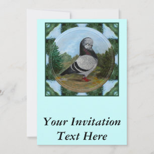 Tumbler Blue Grizzle Pigeon Einladung