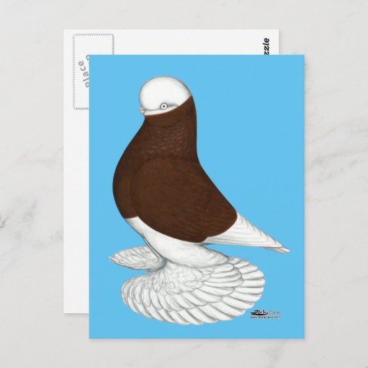 Tumbler: Muffed Red Bald Postkarte (Vorne/Hinten)