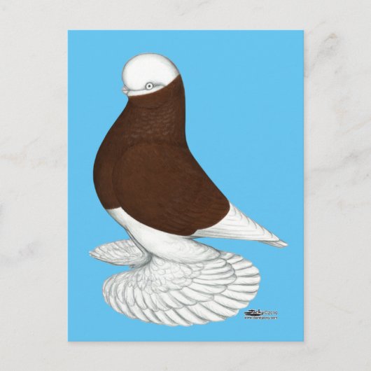 Tumbler: Muffed Red Bald Postkarte (Vorderseite)