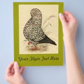 Tumbler Pigeon LFCL Splash Flyer (Hand)