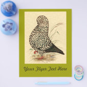 Tumbler Pigeon LFCL Splash Flyer (Einzeln)