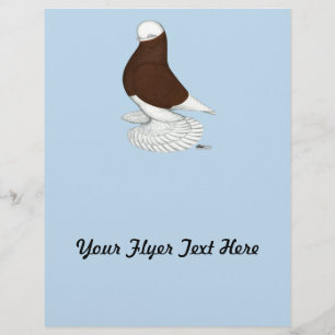 Tumbler Pigeon Muffed Red Bald Flyer