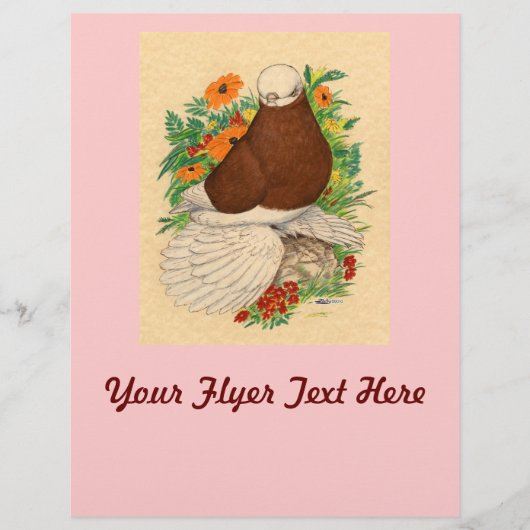 Tumbler Pigeon Red Bald Muffed Flyer (Vorne)