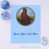 Tumbler Pigeon Red Muff Flyer (Einzeln)
