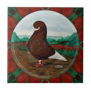 Tumbler Red Beard Pigeon Fliese