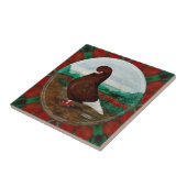 Tumbler Red Beard Pigeon Fliese (Seite)