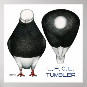 Tumbler: Standard Black Bald Poster