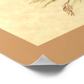 Tumbler-Taube: LFCL Mealy Poster (Ecke)